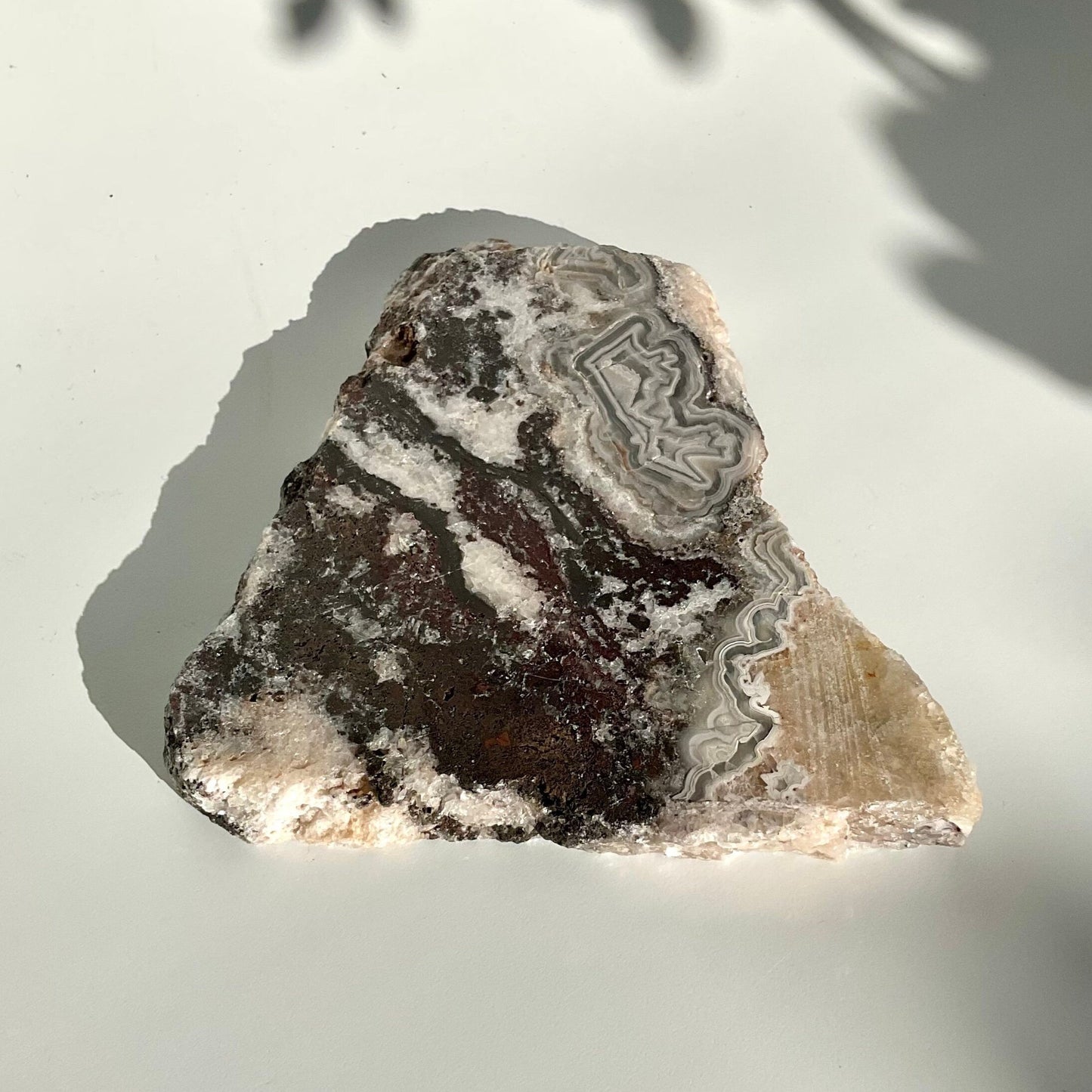 Beautiful Black & White Mexican Lace Agate Raw Slab