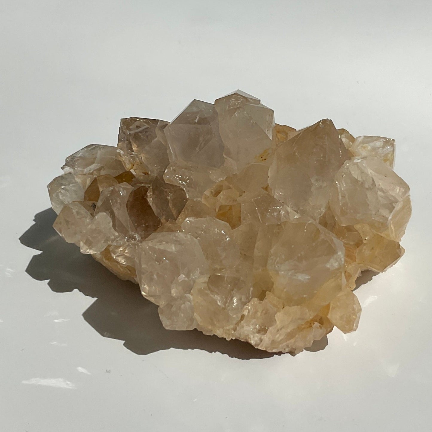 Clear Quartz with Limonite Big Teeth Raw Big teeth Cluster