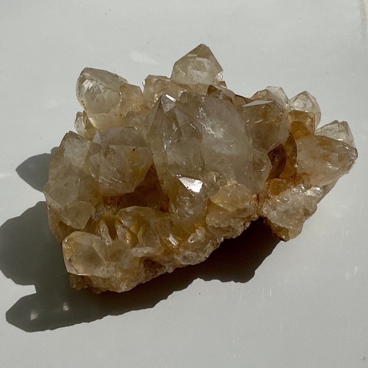 Clear Quartz with Limonite Big Teeth Raw Big teeth Cluster