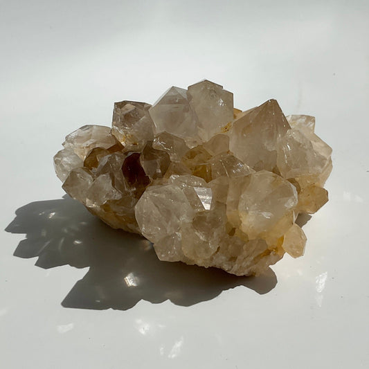 Clear Quartz with Limonite Big Teeth Raw Big teeth Cluster