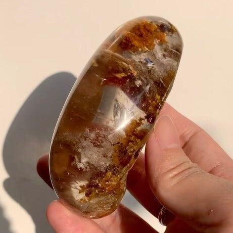 Autumn Vibes Phantom Filled Garden Quartz Lodolite Lens