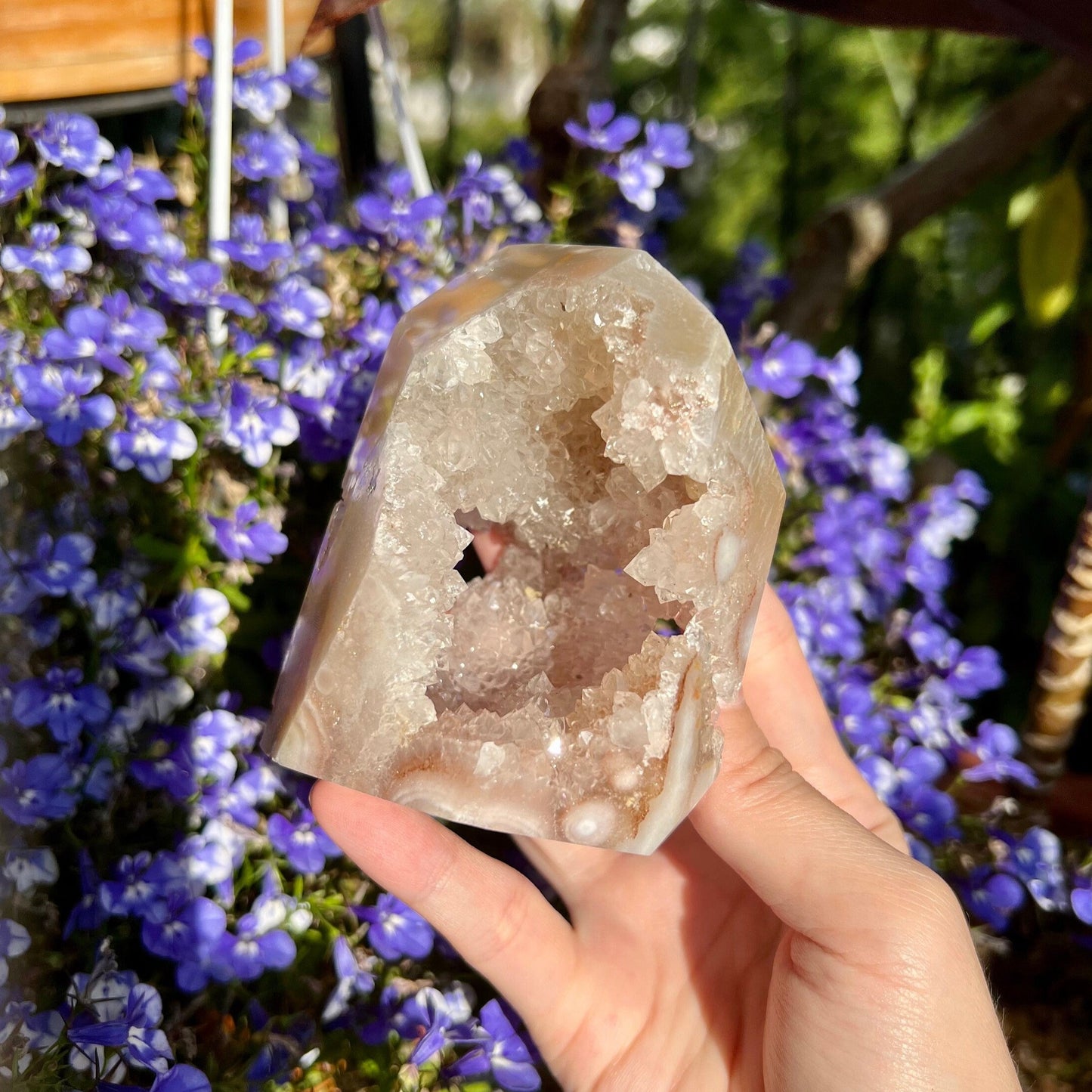 Sweet Pink Amethyst Orbicular Full Quartz Druzy Geode Freeform