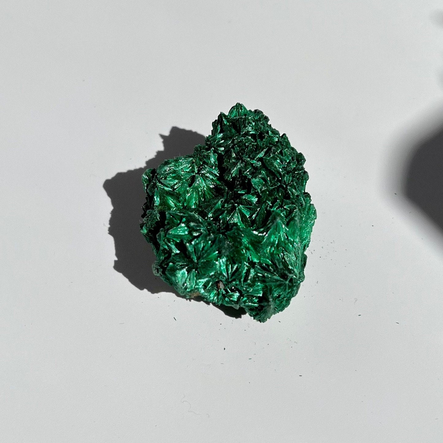 Small Malachite Cluster with Flashy Feather Sheen