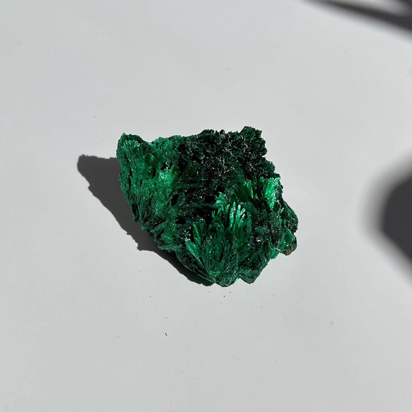 Small Malachite Cluster with Flashy Feather Sheen