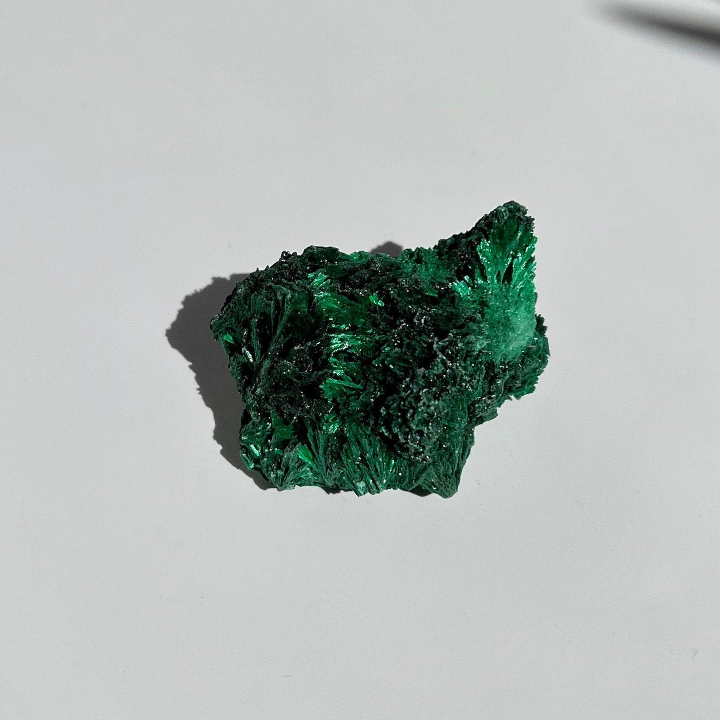 Small Malachite Cluster with Flashy Feather Sheen