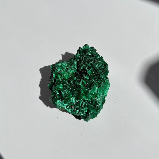 Small Malachite Cluster with Flashy Feather Sheen