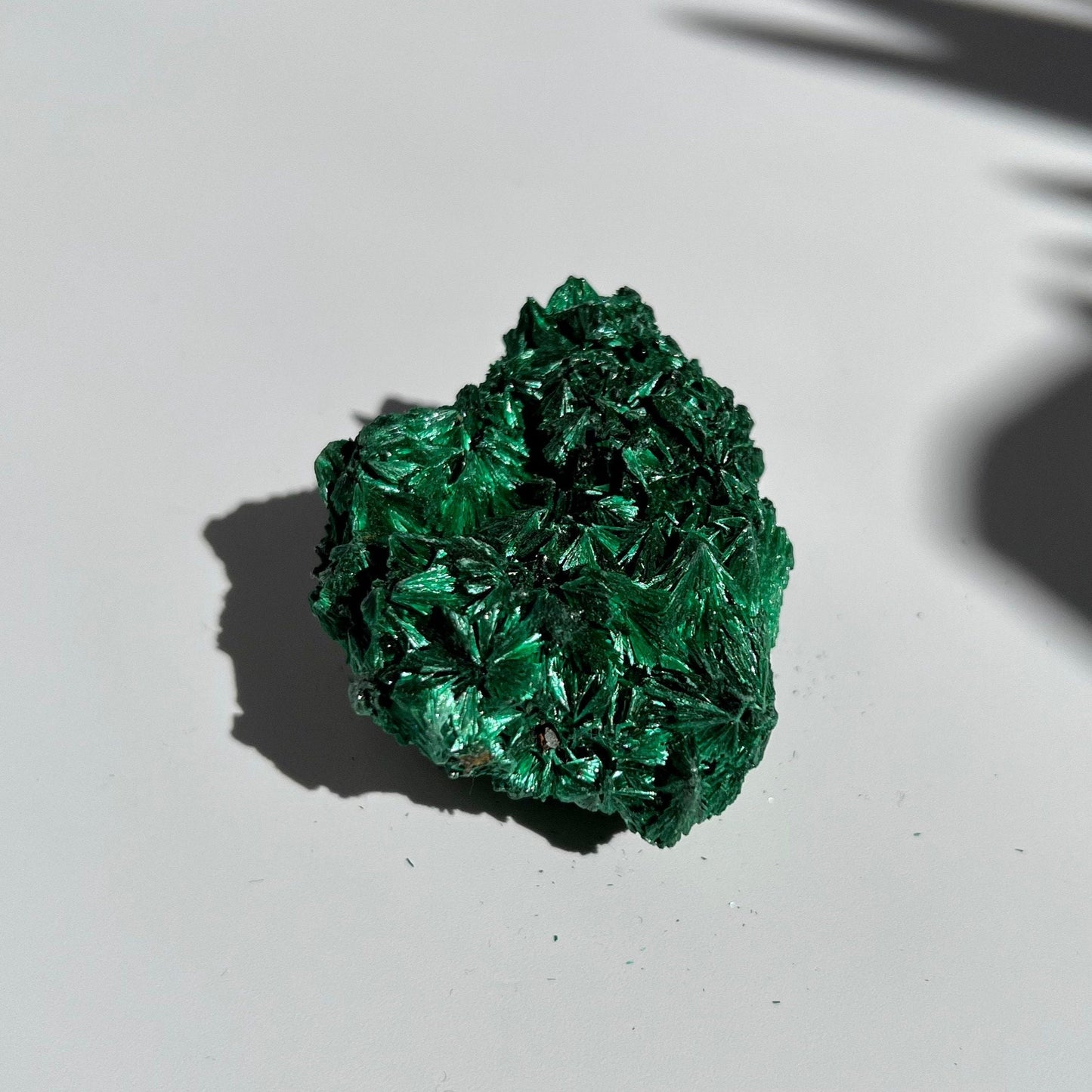 Small Malachite Cluster with Flashy Feather Sheen