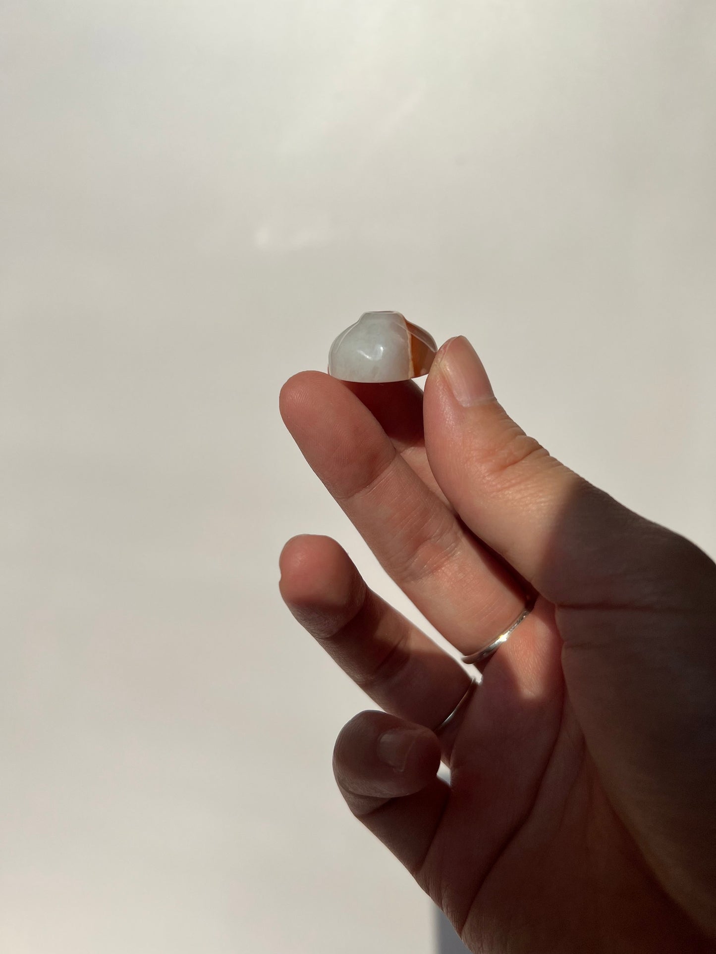 Adorable Tiny Flower Agate Bao Dumpling Carving