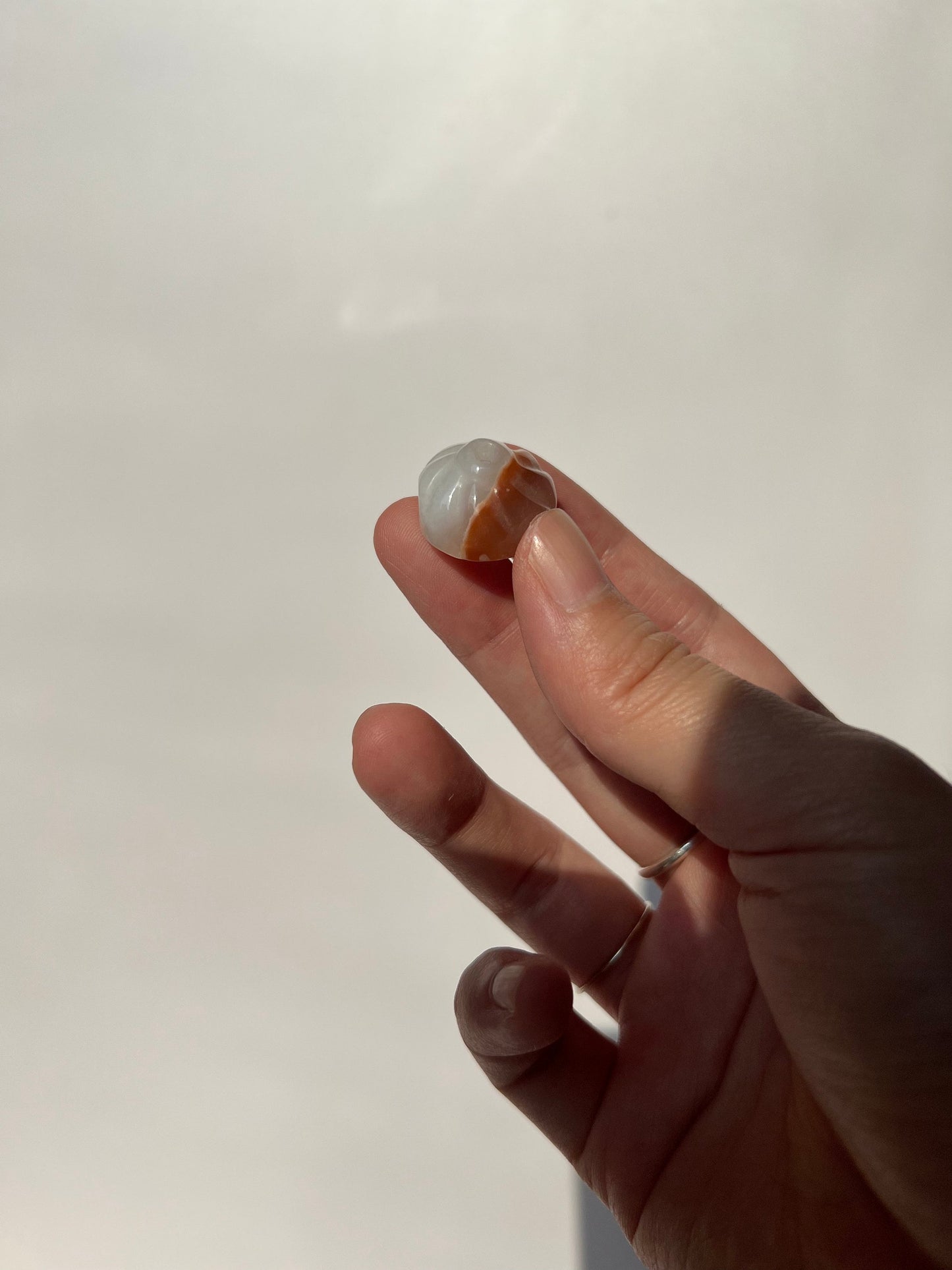 Adorable Tiny Flower Agate Bao Dumpling Carving